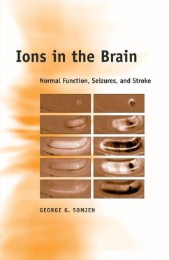 Ions in the Brain - Somjen, George G