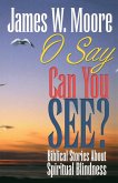 O Say Can You See?: Biblical Stories about Spiritual Blindness