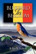 Bluebird in Belgium - Bild 1