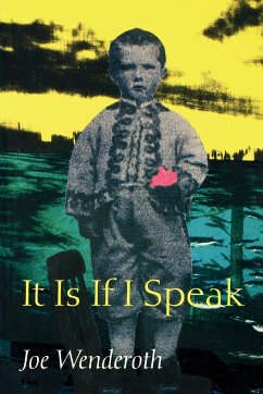 It Is If I Speak - Wenderoth, Joe