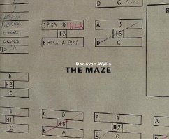 Donovan Wylie: The Maze