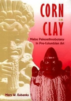 Cover Corn in Clay