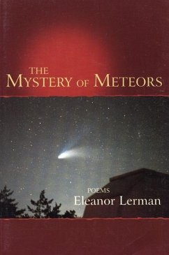 The Mystery of Meteors - Lerman, Eleanor