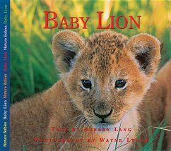 Baby Lion - Lang, Aubrey
