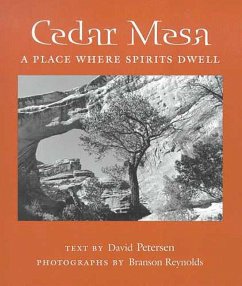 Cedar Mesa: A Place Where Spirits Dwell - Petersen, David