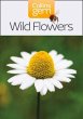 Wild Flowers - Bild 1