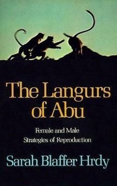 The Langurs of Abu