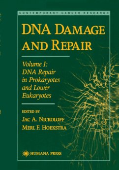 DNA Damage and Repair - Nickoloff, Jac A. / Hoekstra, Merl F. (eds.)