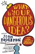 What Is Your Dangerous Idea? - Bild 1