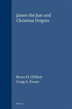 James the Just and Christian Origins (SUPPLEMENTS TO NOVUM TESTAMENTUM)