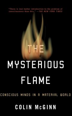 The Mysterious Flame - Mcginn, Colin