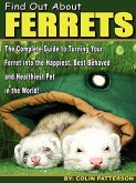 Find Out About Ferrets