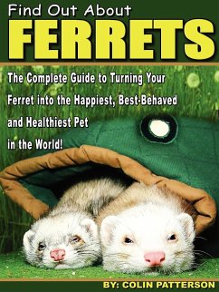 Find Out About Ferrets - Patterson, Colin