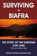 Surviving in Biafra - Bild 1