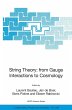 String Theory: From Gauge Interactions... - Bild 1