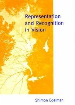 Representation and Recognition in Vision - Edelman, Shimon