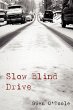 Slow Blind Drive - Bild 1