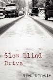 Slow Blind Drive