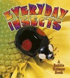 Everyday Insects