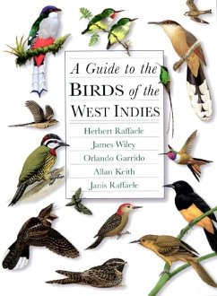 A Guide to the Birds of the West Indies - Raffaele, Herbert A; Wiley, James; Garrido, Orlando H; Keith, Allan; Raffaele, Janis I
