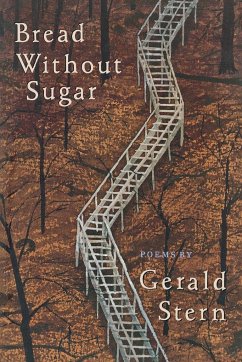Bread Without Sugar - Stern, Gerald