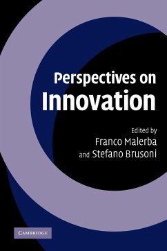 Perspectives on Innovation - Malerba, Franco / Brusoni, Stefano (eds.)