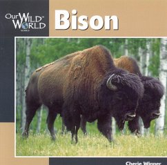 Bison - Winner, Cherie