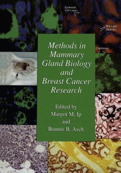 Methods in Mammary Gland Biology and Breast Cancer Research - Ip, Margot M. / Asch, Bonnie B. (Hgg.)