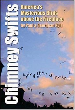 Cover Chimney Swifts