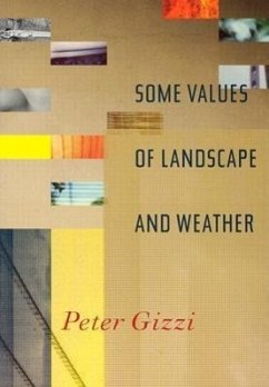 Some Values of Landscape and Weather - Gizzi, Peter