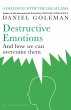 Destructive Emotions - Bild 1