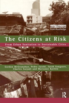 The Citizens at Risk - Mcgranahan, Gordon; Songsor, Jacob; Surjadi, Charles