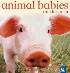 Animal Babies on the Farm - Kingfisher Books