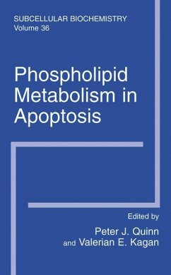 Phospholipid Metabolism in Apoptosis - Quinn, Peter J. / Kagan, Valerian E. (Hgg.)