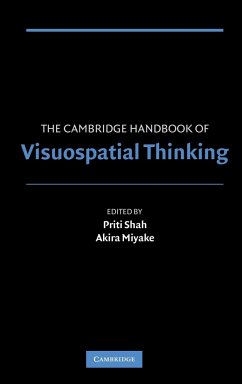 The Cambridge Handbook of Visuospatial Thinking - Shah, Priti / Miyake, Akira (eds.)