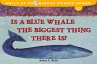 Is a Blue Whale the Biggest Thing There... - Bild 1
