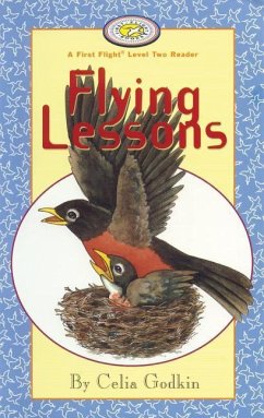 Flying Lessons - Godkin, Celia