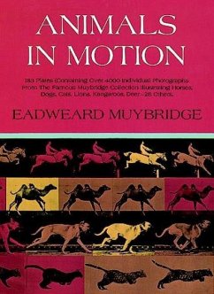 Animals in Motion - Muybridge, Eadweard