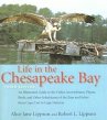 Life in the Chesapeake Bay - Bild 1