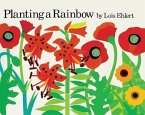 Planting a Rainbow