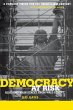 Democracy at Risk - Bild 1