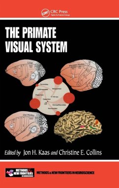 The Primate Visual System - Collins, Christine E. / Kaas, Jon H. (eds.)