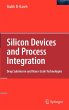 Silicon Devices and Process Integration - Bild 1