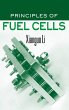 Principles of Fuel Cells - Bild 1