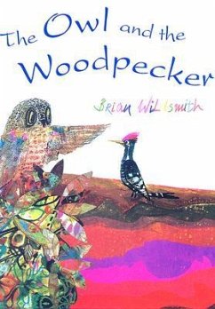 The Owl and the Woodpecker - Wildsmith, Brian