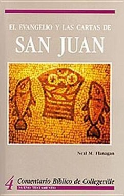El Evangelio Y Las Cartas de San Juan - Various