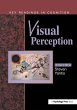 Visual Perception - Bild 1