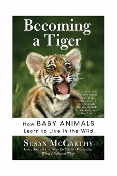 Becoming a Tiger - Mccarthy, Susan