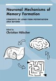 Neuronal Mechanisms of Memory Formation