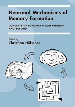 Neuronal Mechanisms of Memory Formation - Hölscher, Christian (ed.)